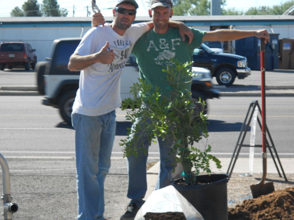 Two men smile and pose with thumbs up beside a small tree in a pot, set on a sidewalk. 