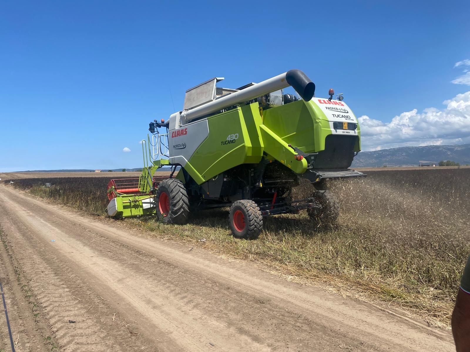 progettazione e realizzazione giardini