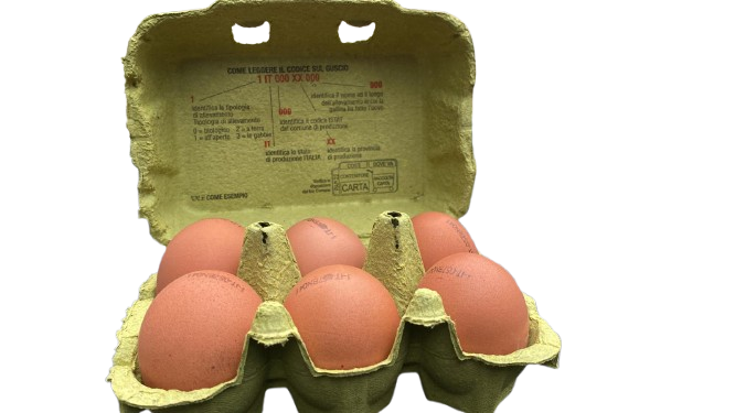 manutenzione e cura del verde