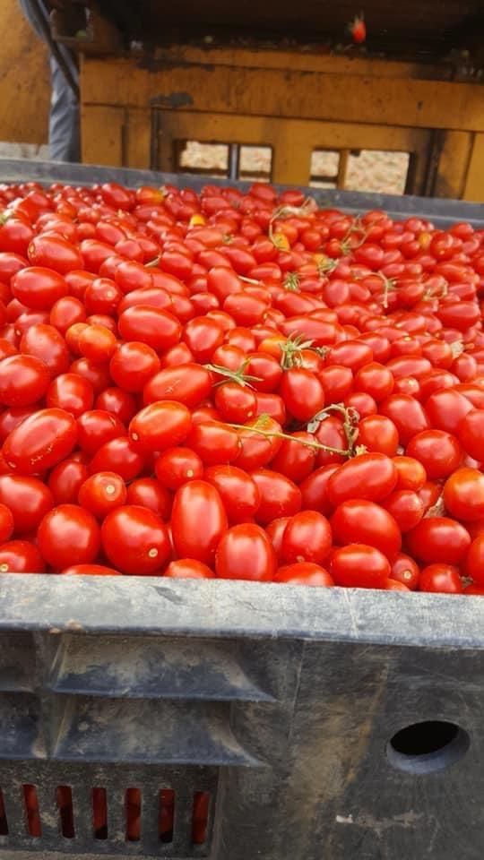 lavorazioni agricole e sistemazioni terreni