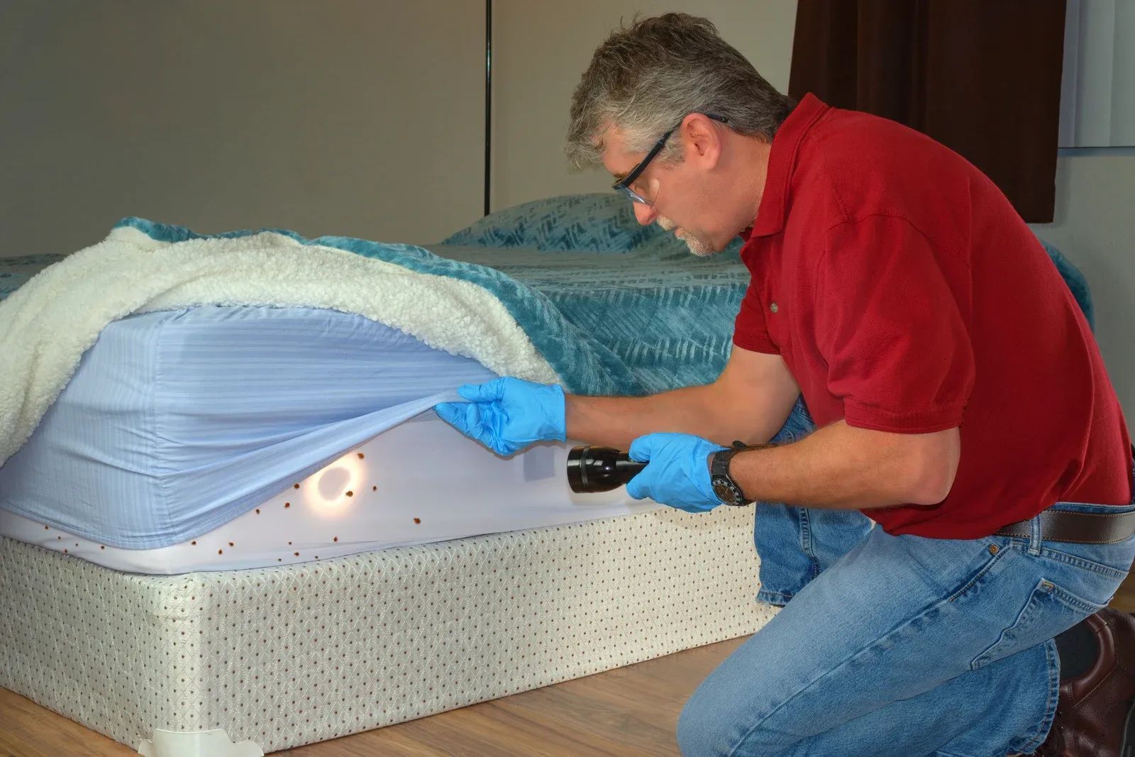Man inspecting a mattress with a flashlight, wearing gloves. Bedding in a room.