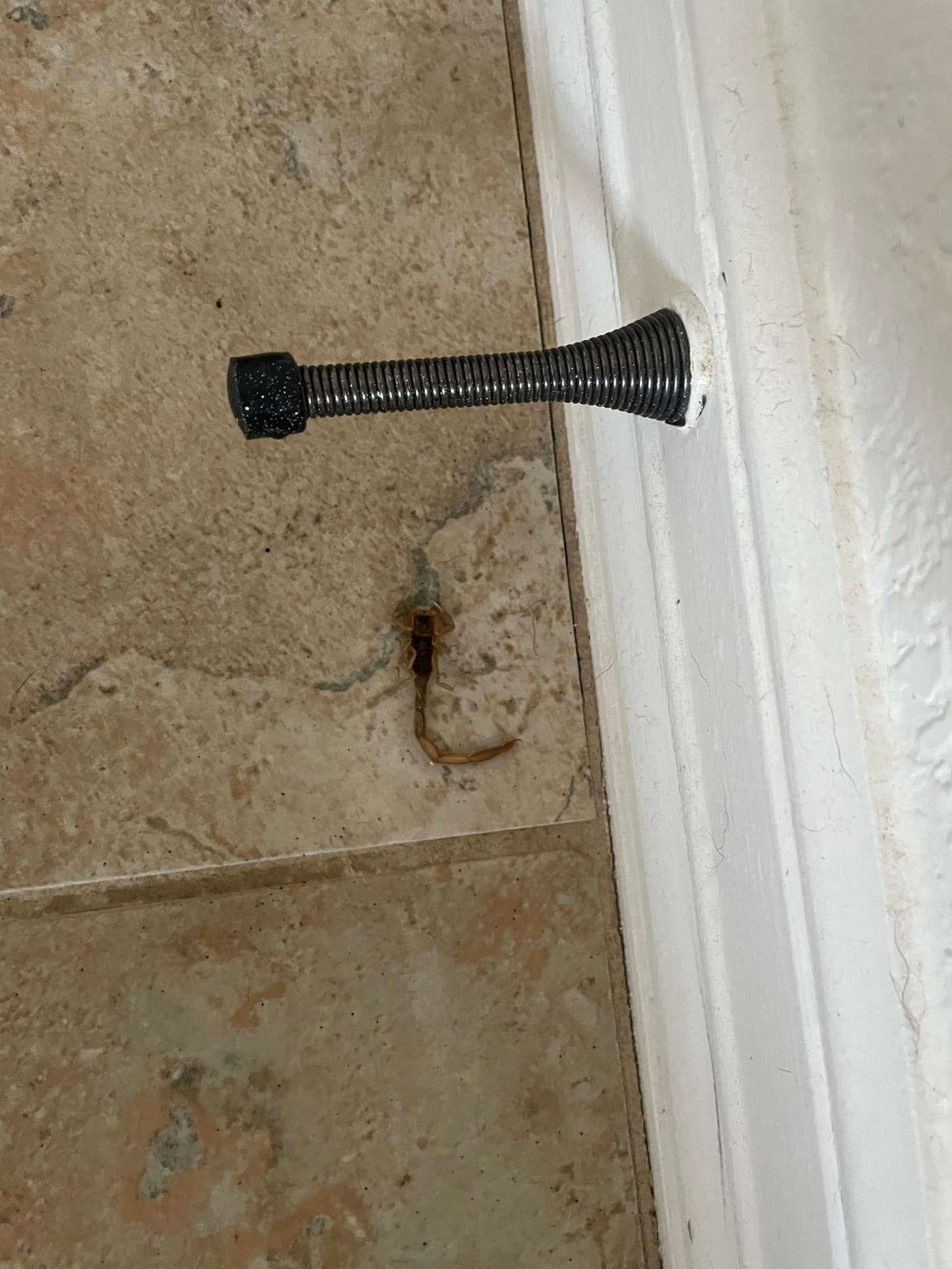 A door stop is sitting on a tiled floor next to a door.