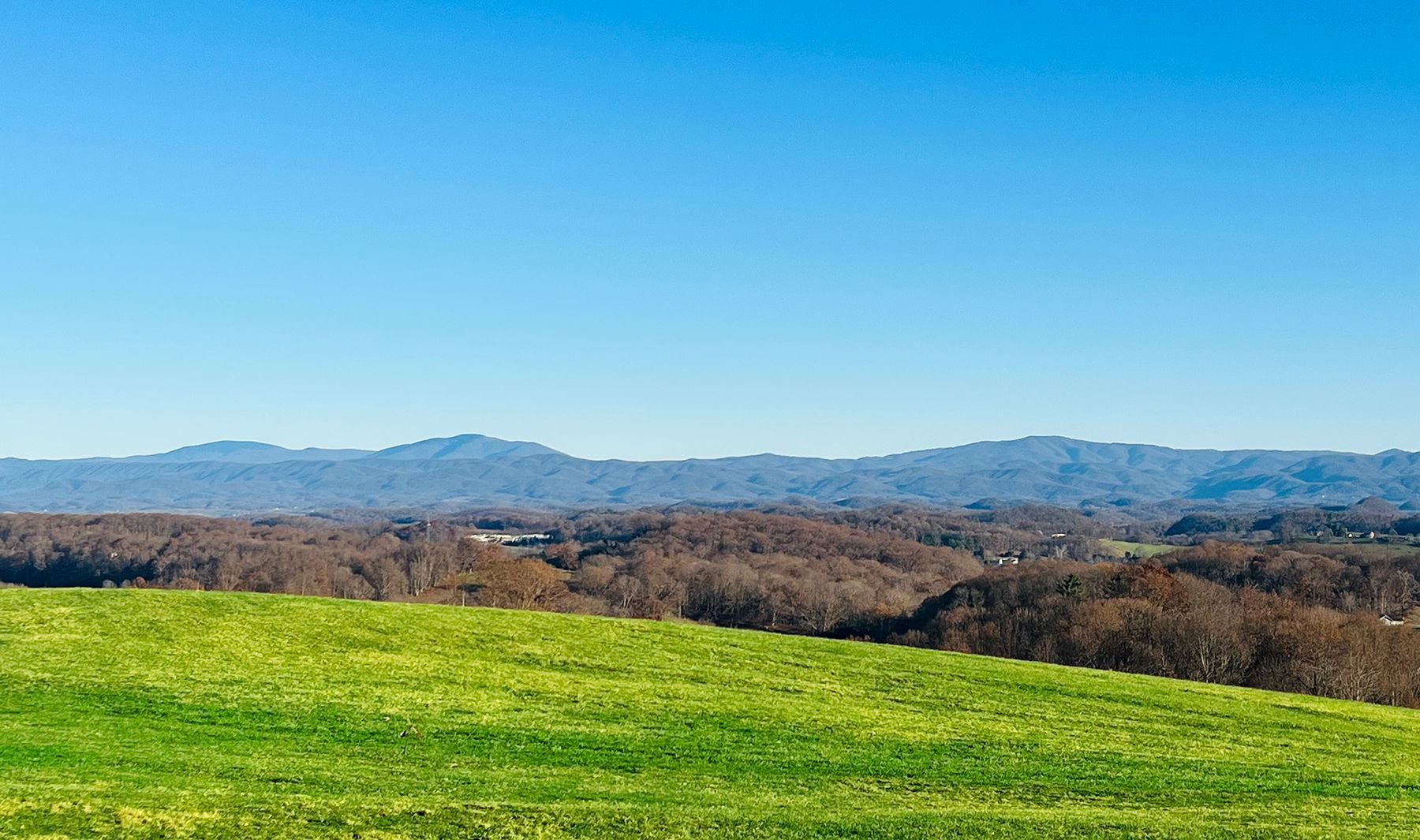 A lush green field with mountains in the background on a sunny day.