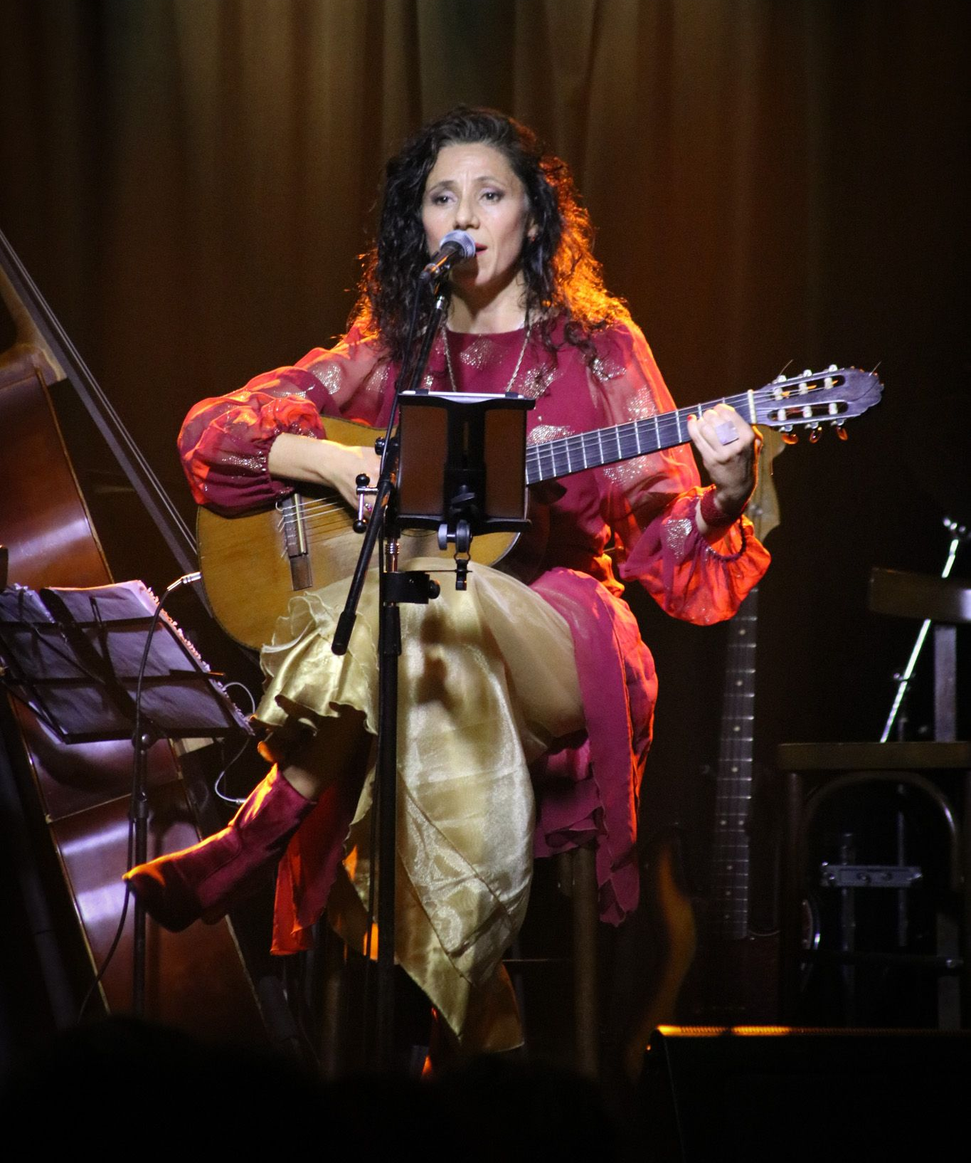 Paulina Torres cantautora. Artista integral. 