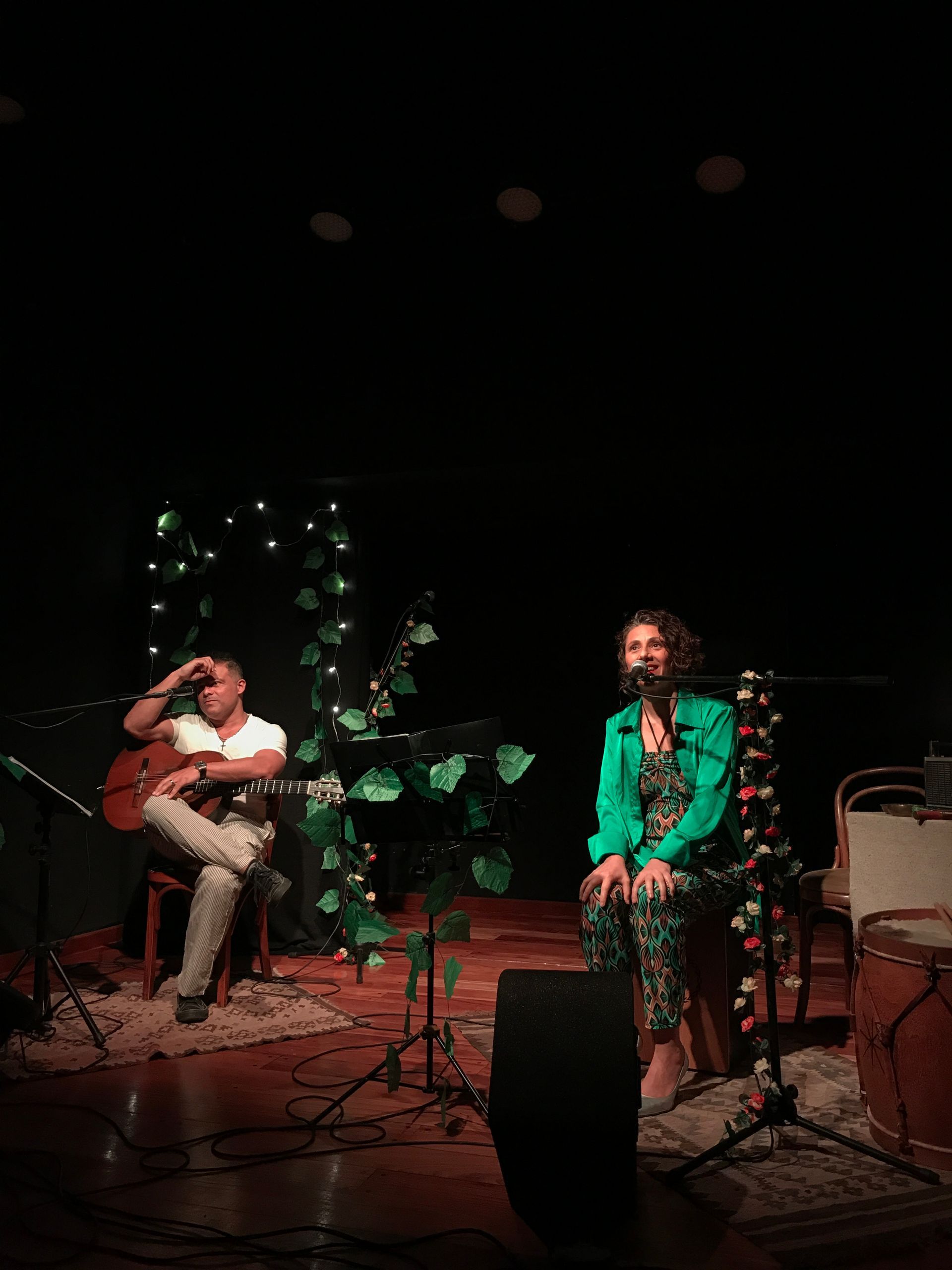 En el escenario actúan dos músicos: un guitarrista y un cantante con una chaqueta verde y enredaderas decorativas.