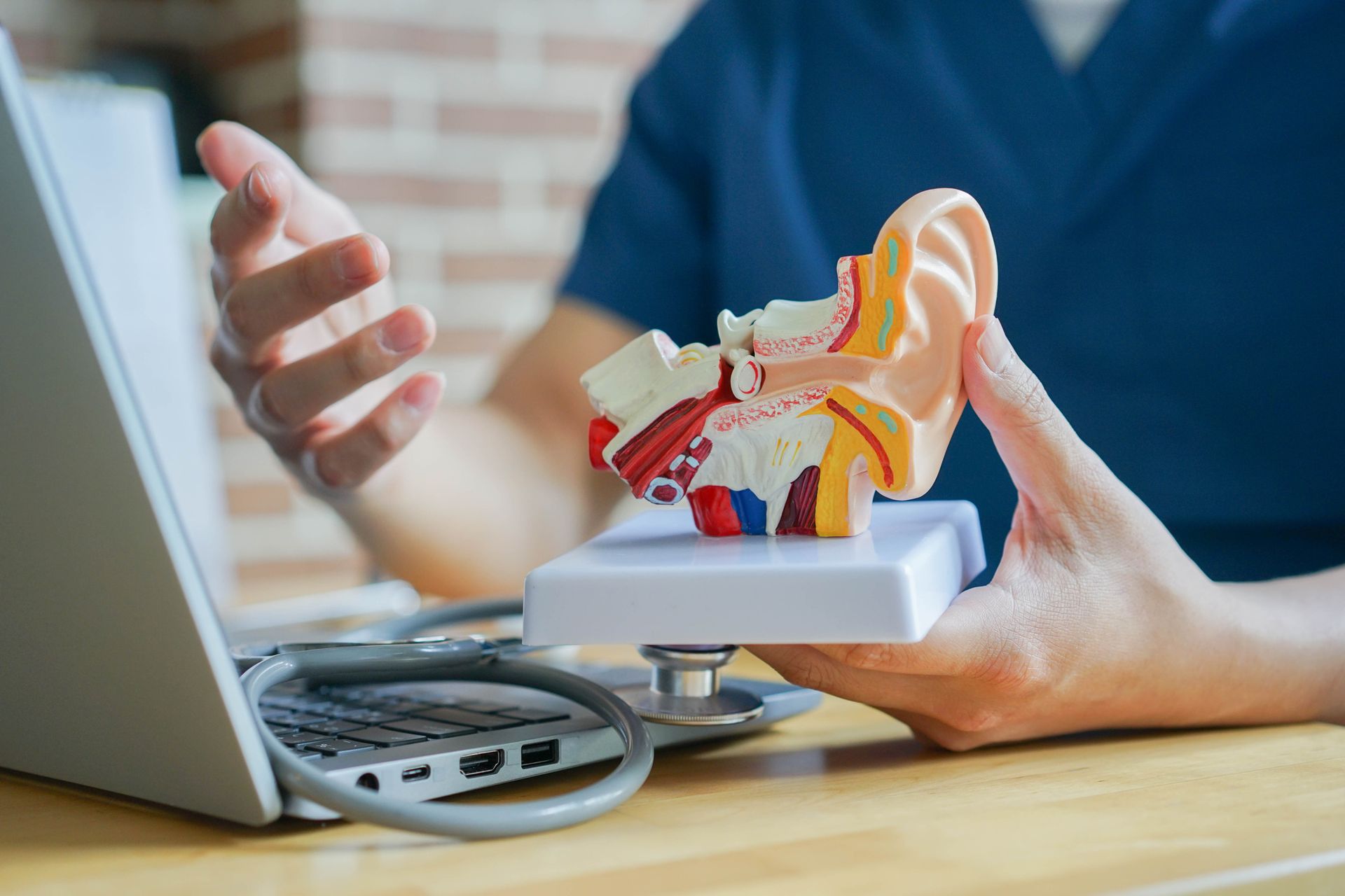 Person in scrubs holding an ear model next to a laptop and stethoscope.