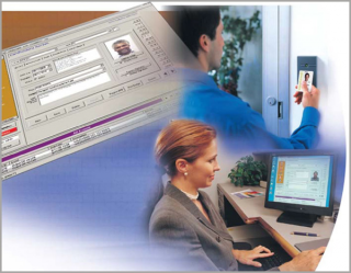 A woman is sitting at a desk in front of a computer