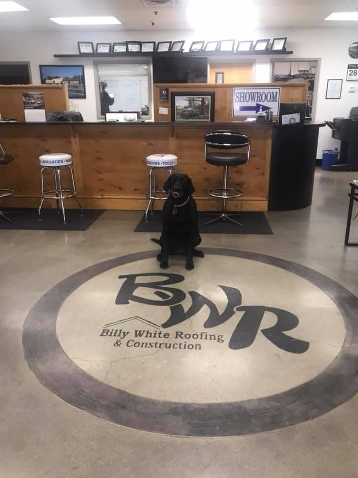 A black dog is sitting in front of a counter in a building.