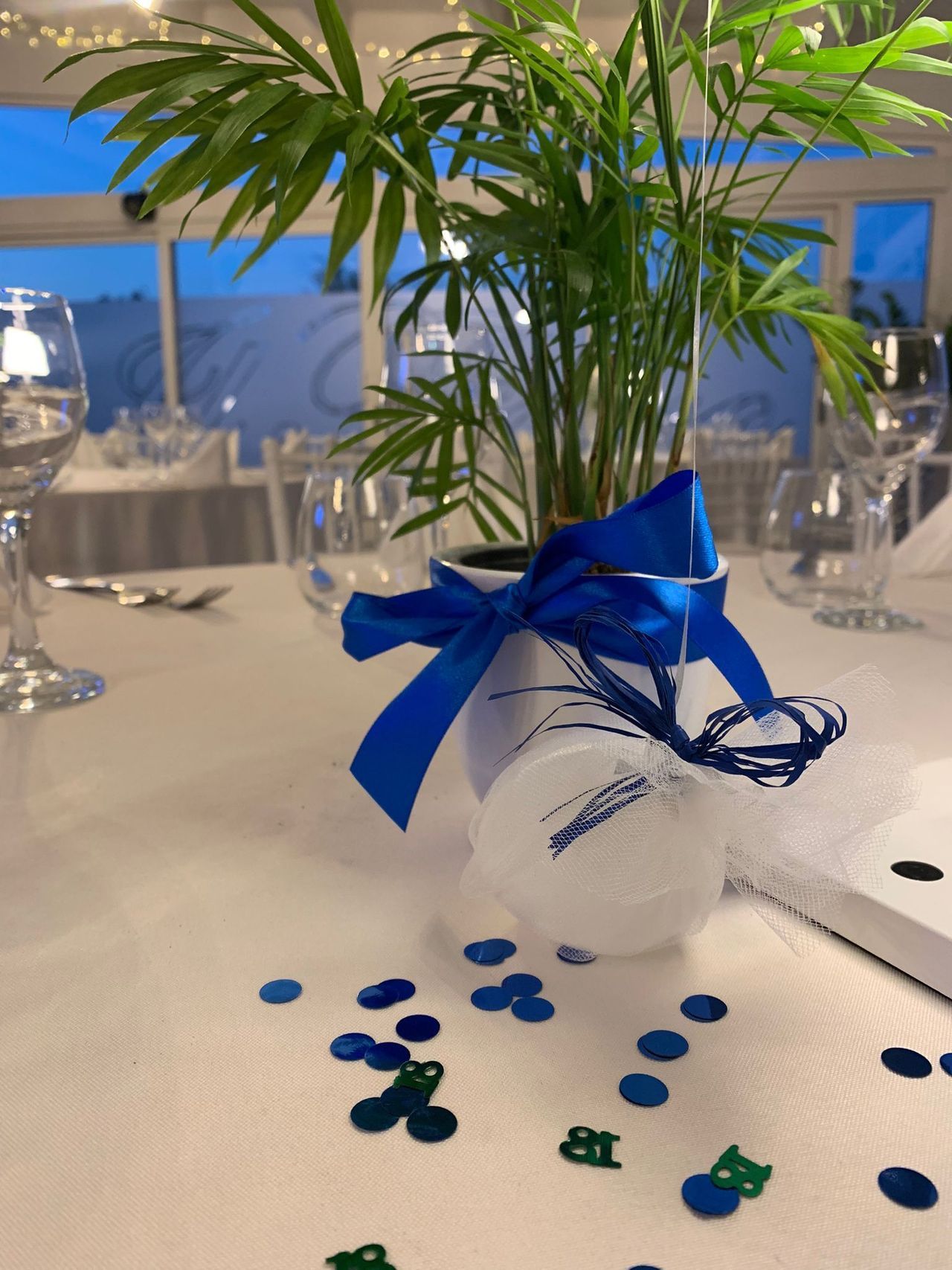 Una pianta in un vaso con un fiocco blu su un tavolo