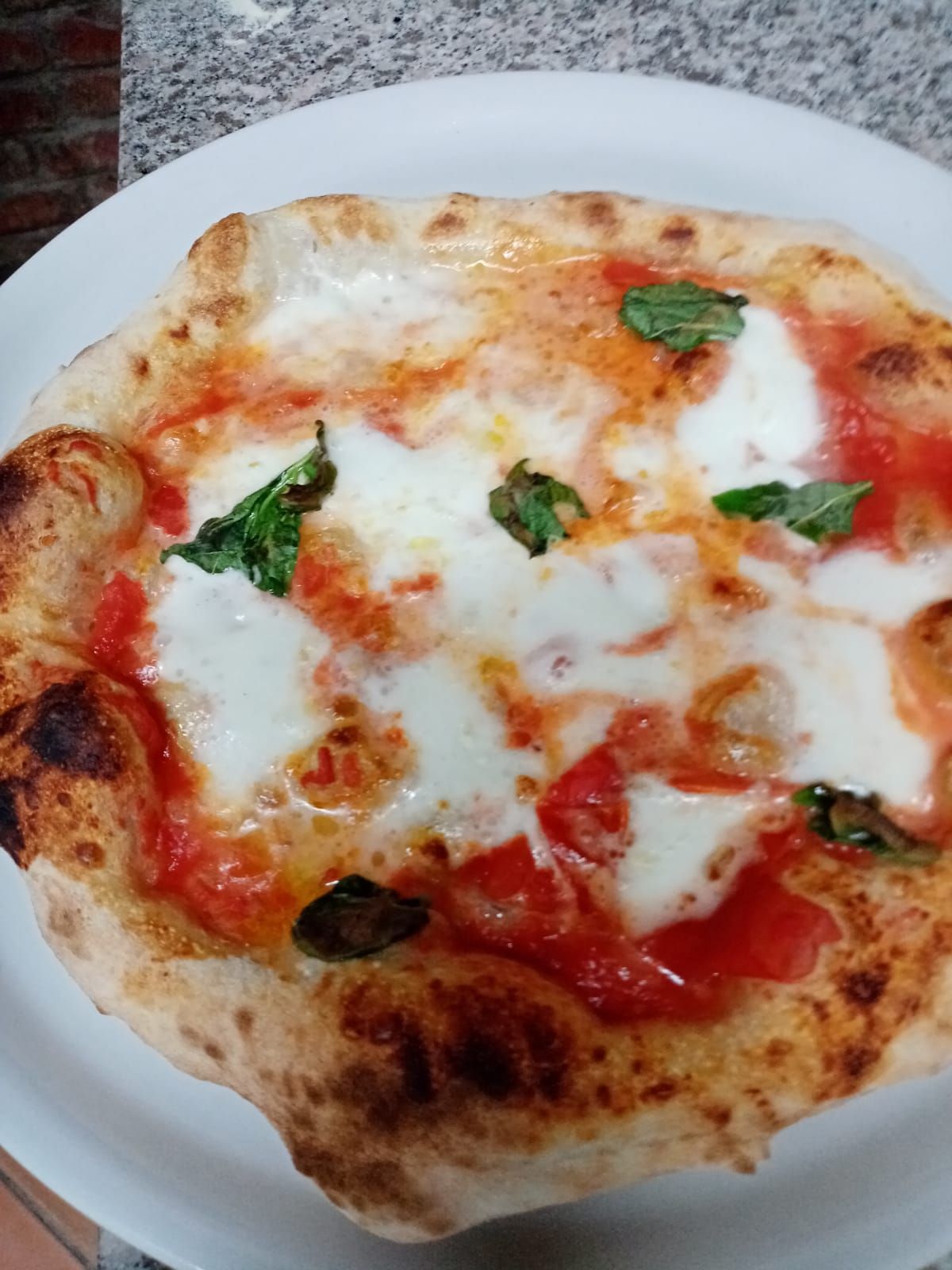 Una pizza con pomodoro, formaggio e basilico su un piatto bianco.