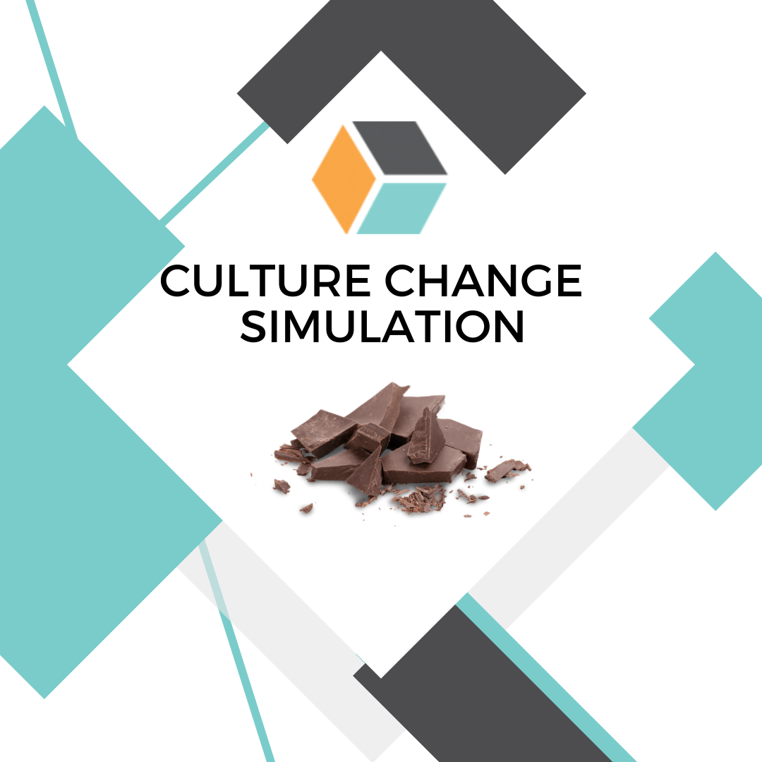 Culture Change Simulation Workshop