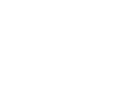 St. Nick's Lighting Logo