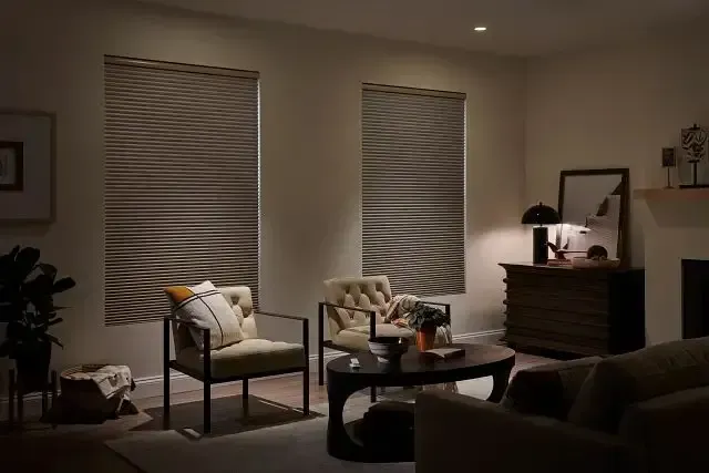Cozy living room with two windows with blinds, two armchairs, coffee table, dresser, and a couch. Dim lighting.