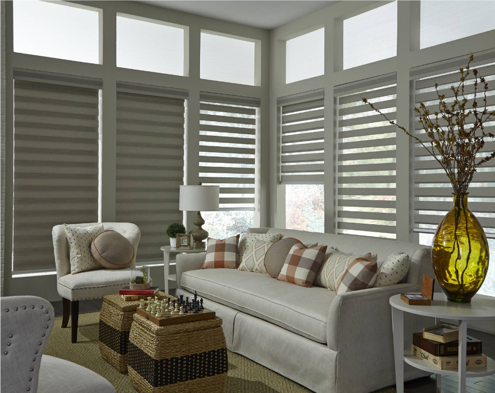 Living room with light gray walls, white sofa, and striped window shades.