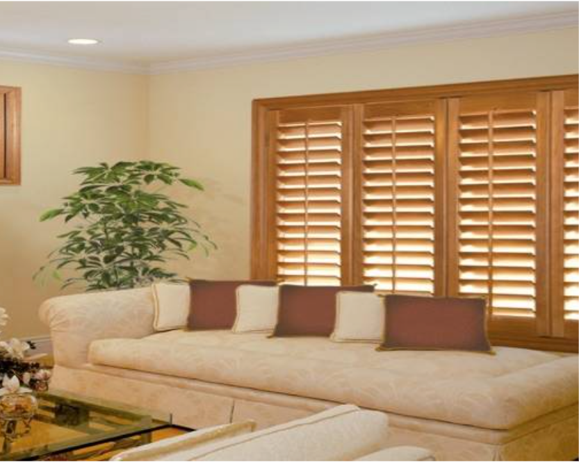 Beige couch with brown pillows, next to a window with wooden shutters; a plant is to the left.