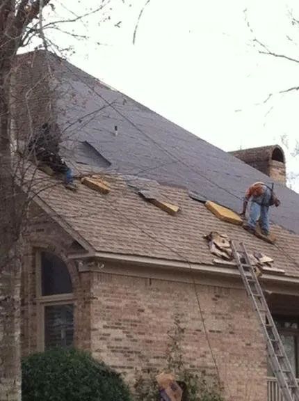 Roofing Technician Atop Orange Beach, AL Home