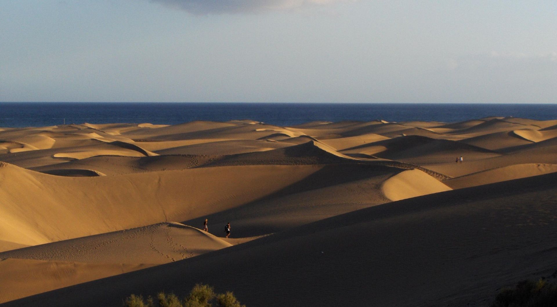 Vast golden sand dunes of Maspalomas stretching toward a deep blue ocean under a clear sky.