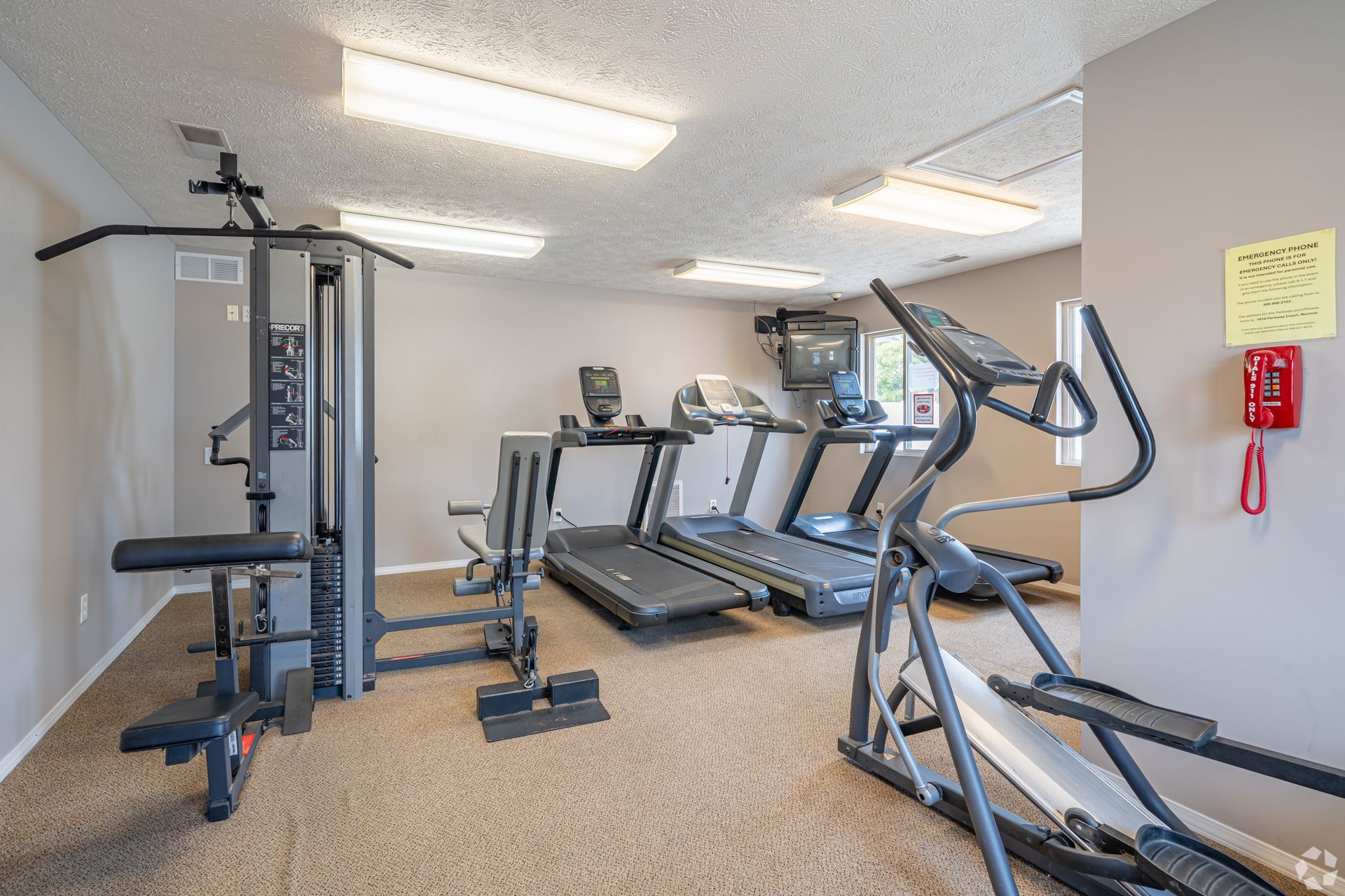 Gym with weight machine, treadmills, elliptical machine, and brown carpet.