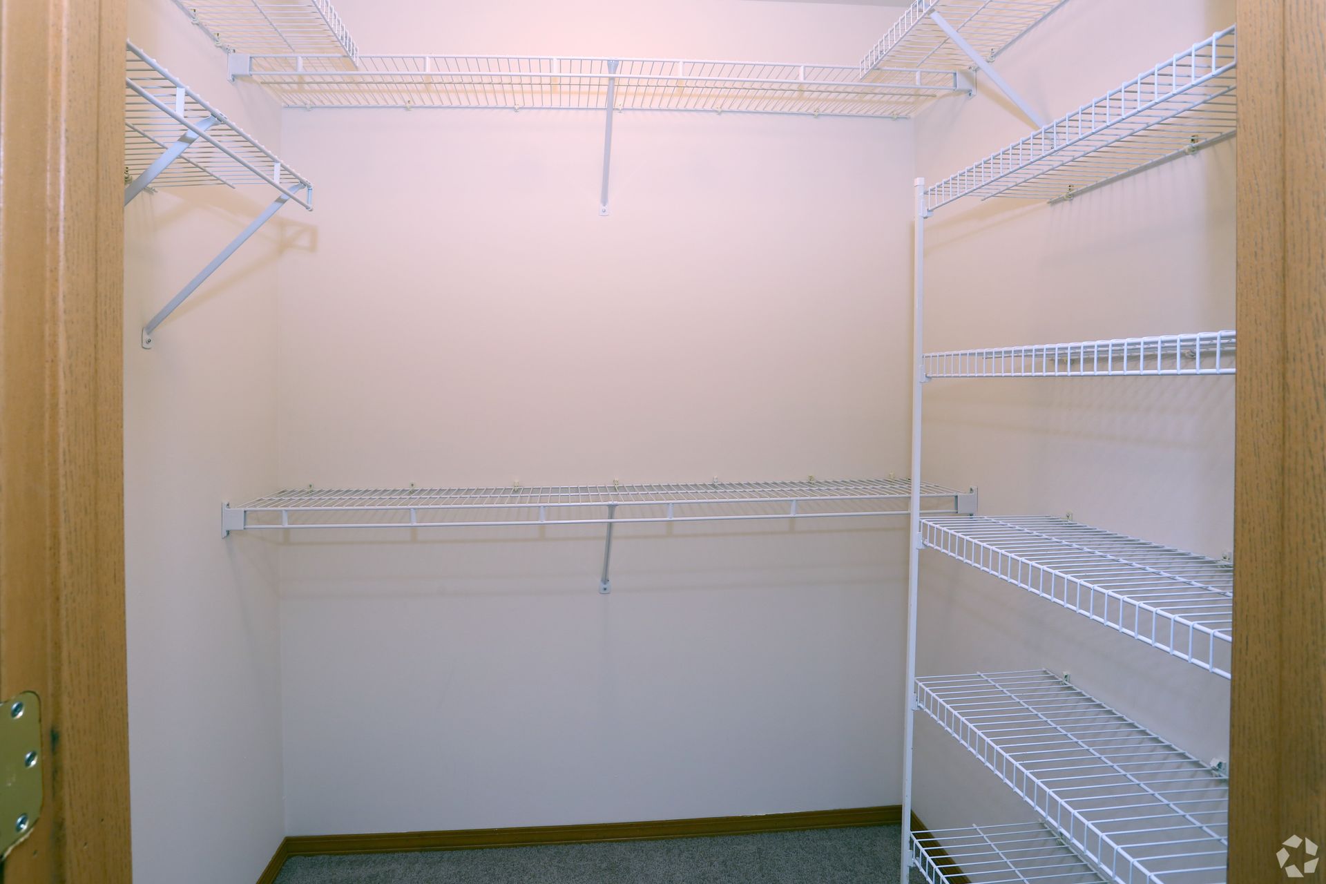 Empty closet with wire shelving and a beige interior.