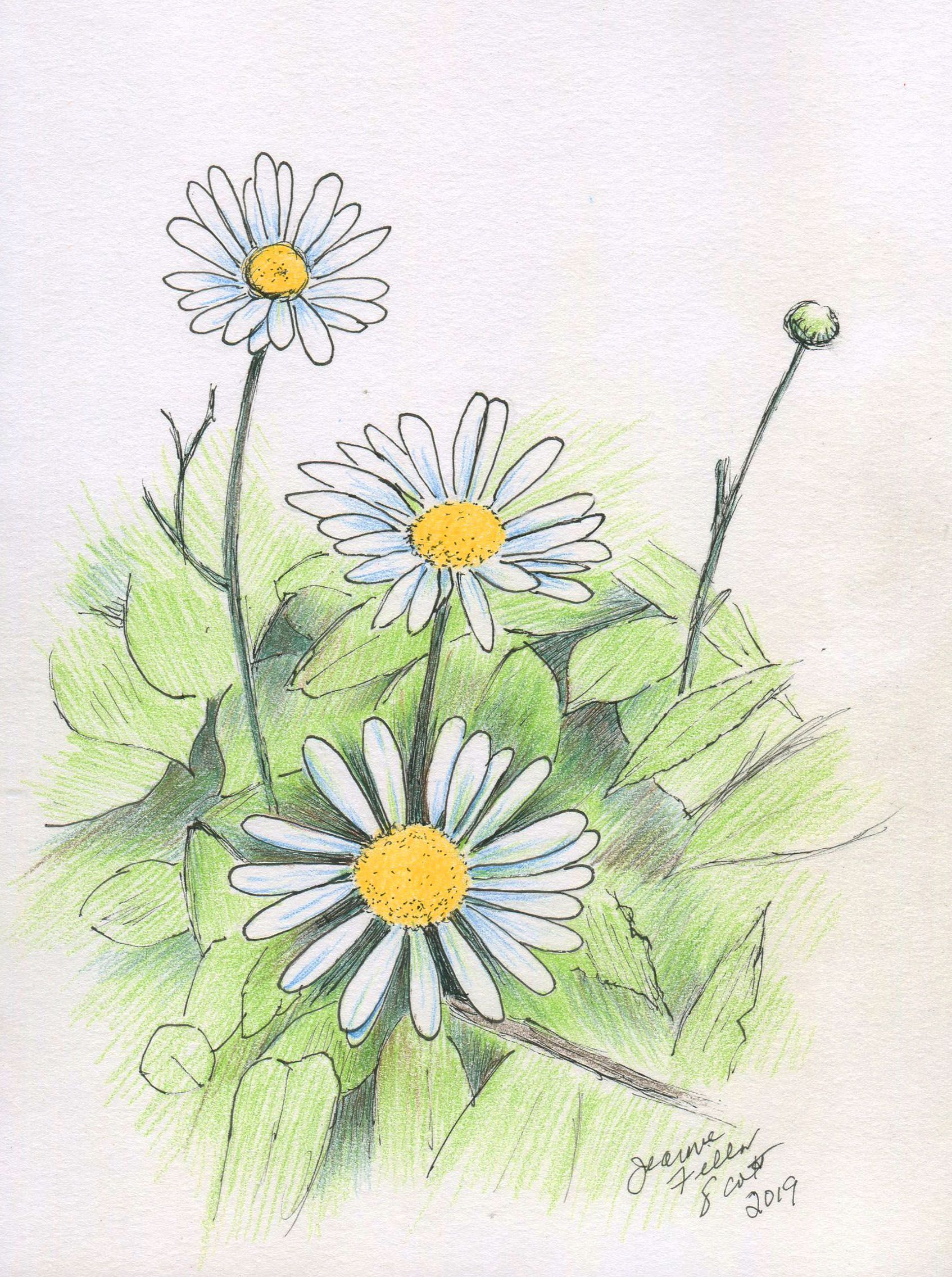 A watercolor painting of three daisies with a yellow center