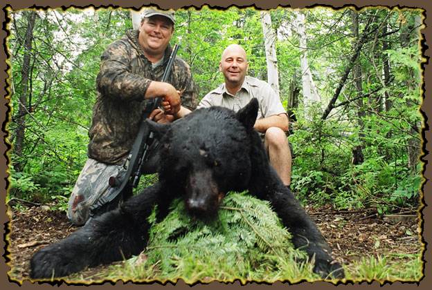 Black bear hunting Canada, Quebec, Outfitter, Guide