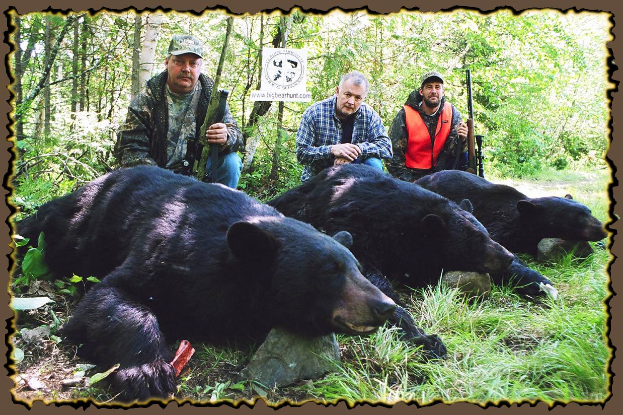 Self-guided (DIY) black bear hunt — European style (Mastigouche Wildlife Reserve) — Aventures Big Bear Hunt – Aventures Big Bear Hunt