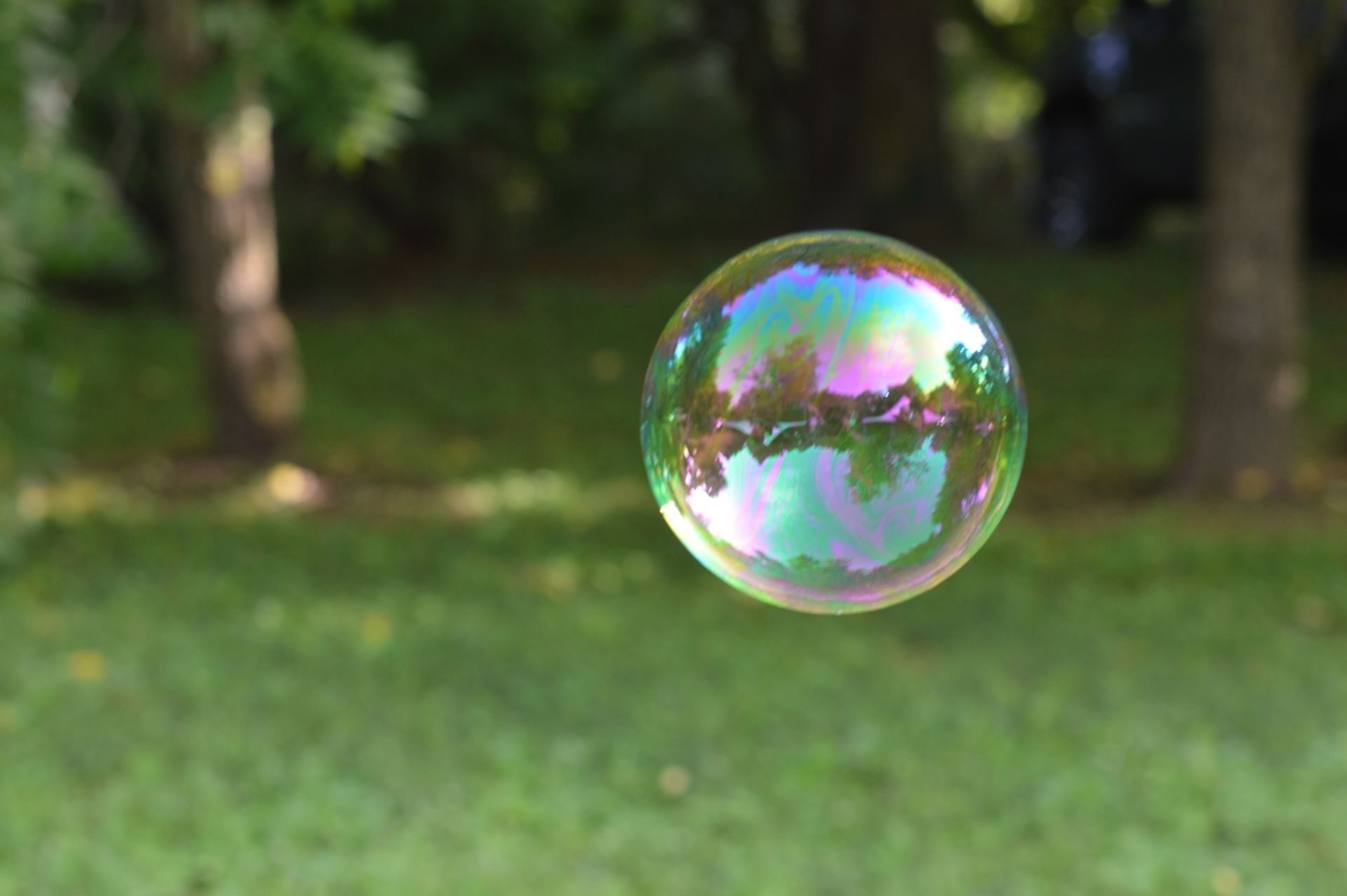 A shimmering soap bubble floats against a blurred green grassy park background.