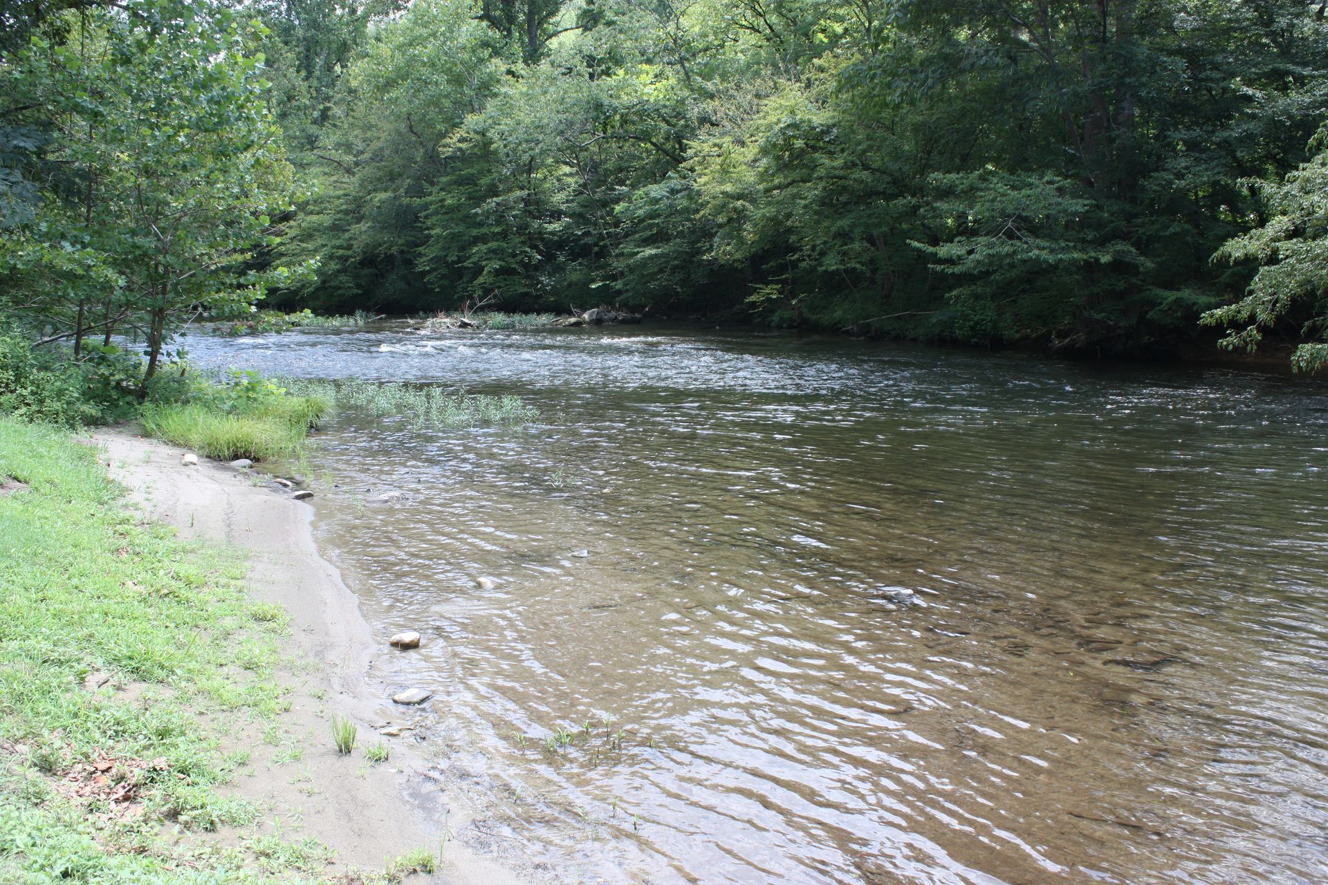 A clear river flows through a wooded area. Sandy bank on the left, trees line the right bank.