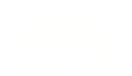 A white background with a few lines on it