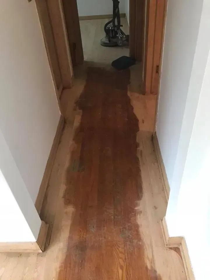 Hallway with stained wood floor, light wood trim, and white walls. 