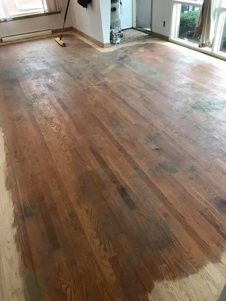 Wooden floor being stained, partially completed, with brown and light wood tones.
