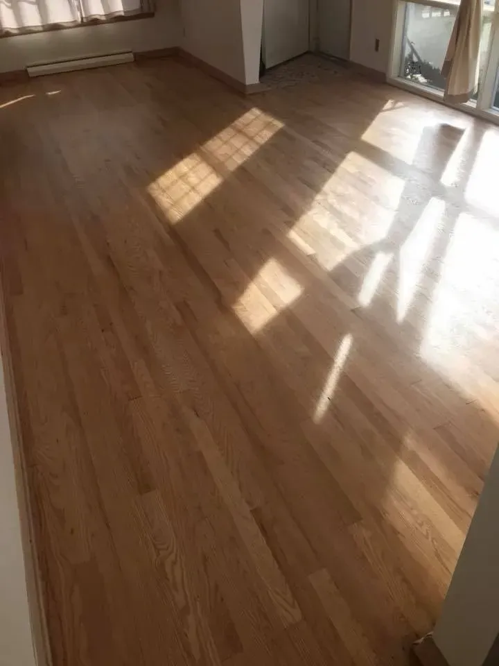 Hardwood floor, sunlight illuminating the room through a window.