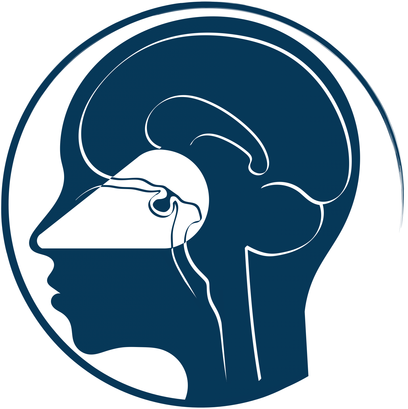 Logo Neurocirujano, Neurocirugía