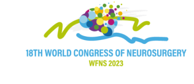 Un logotipo para el 18º congreso mundial de neurocirugía