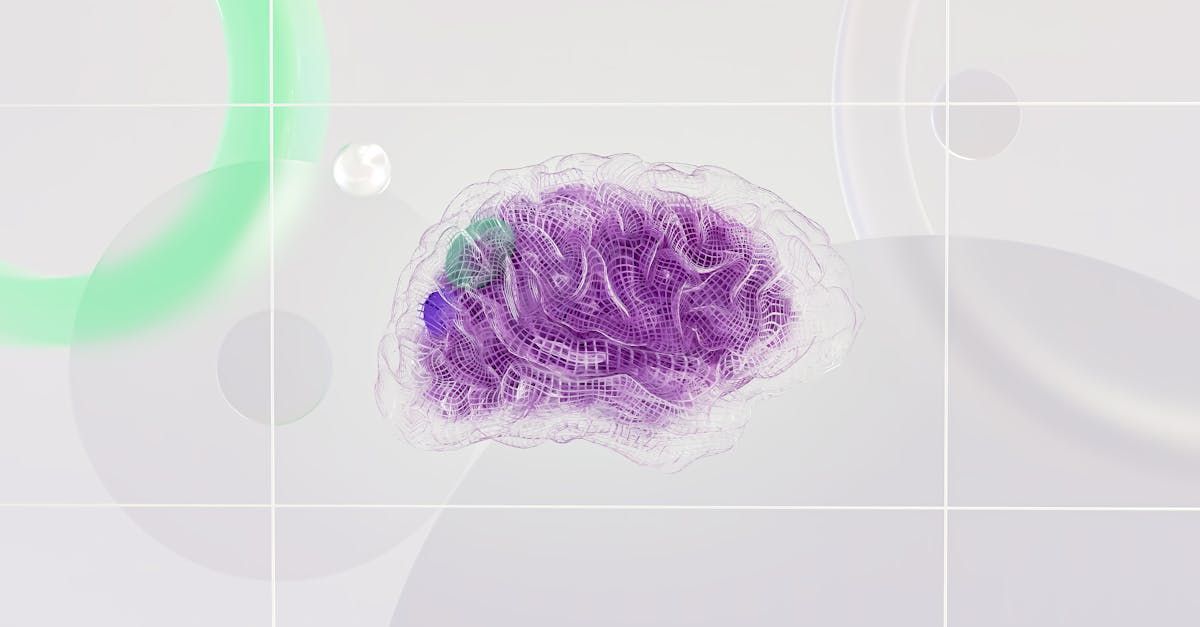 Un primer plano de un cerebro morado sobre un fondo blanco.