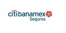 El logotipo de Citibanamex Seguros está sobre un fondo blanco.