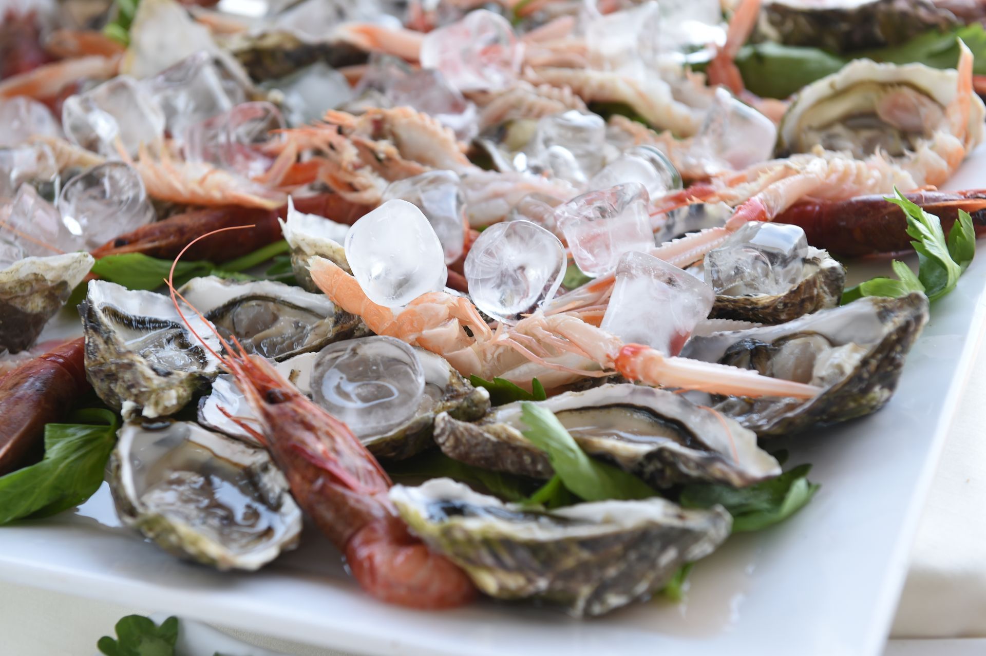 Un piatto bianco condito con ostriche e gamberetti su ghiaccio.