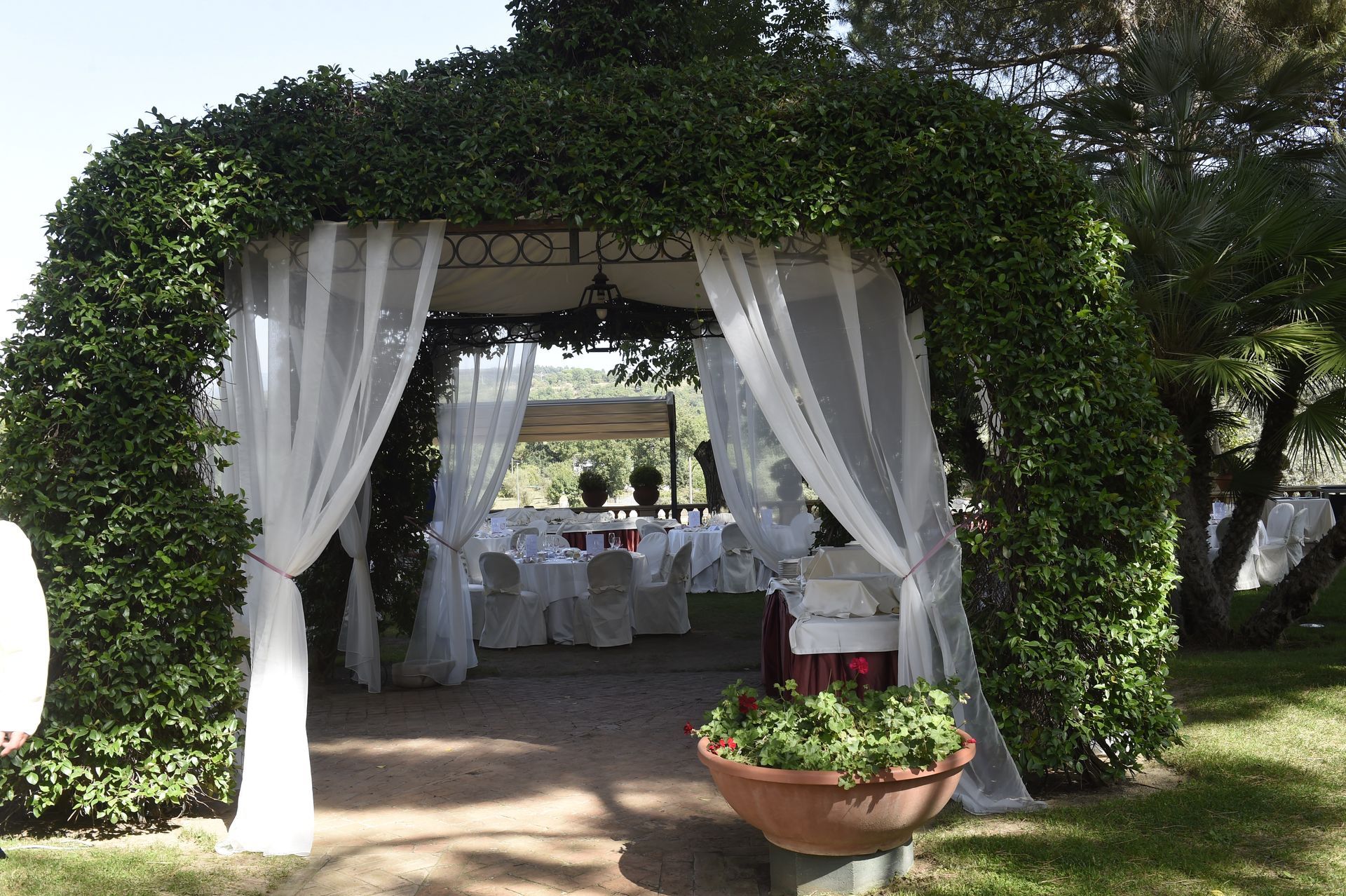 Un gazebo con tende bianche e davanti una pianta in vaso