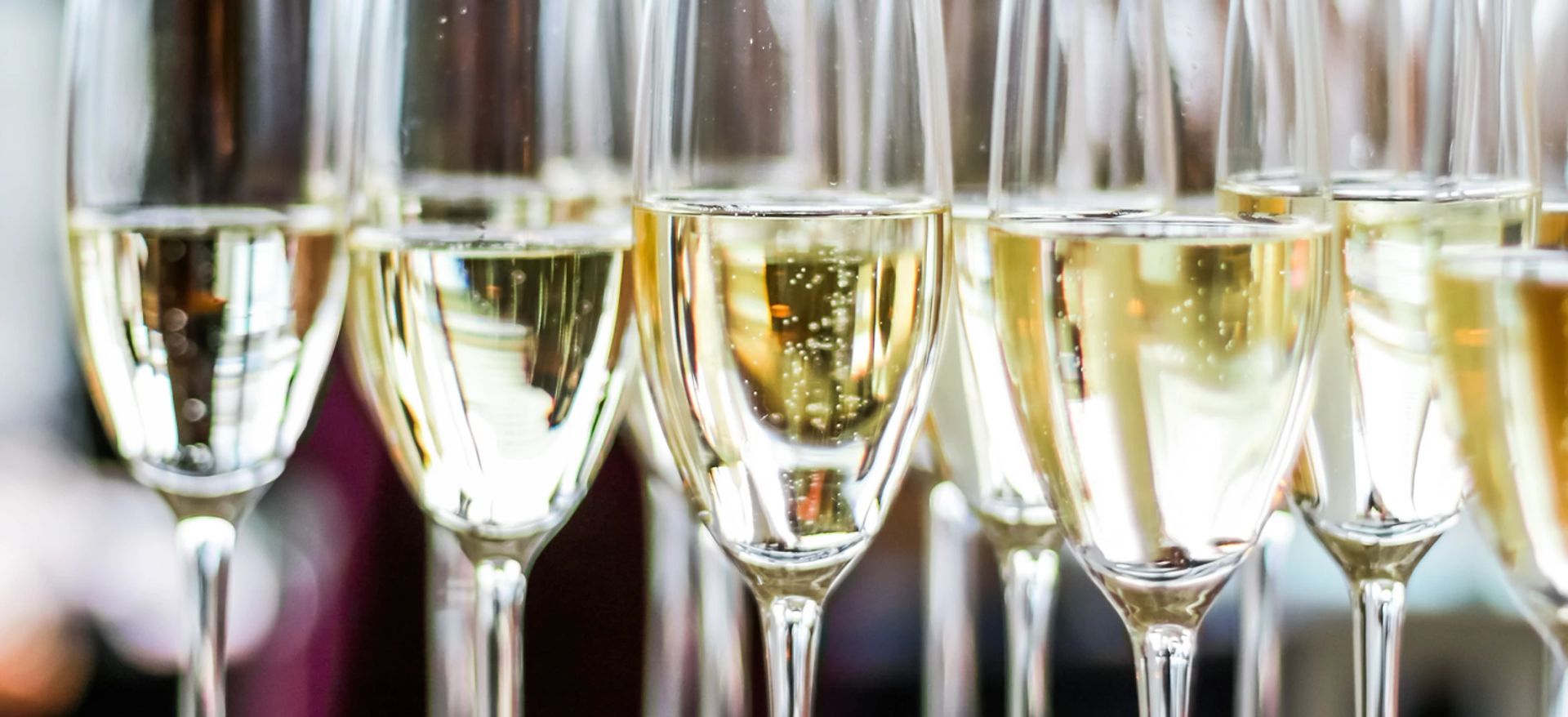 A row of champagne glasses filled with champagne are lined up in a row.