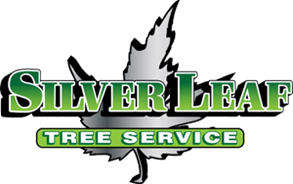 SilverLeaf Tree Service
