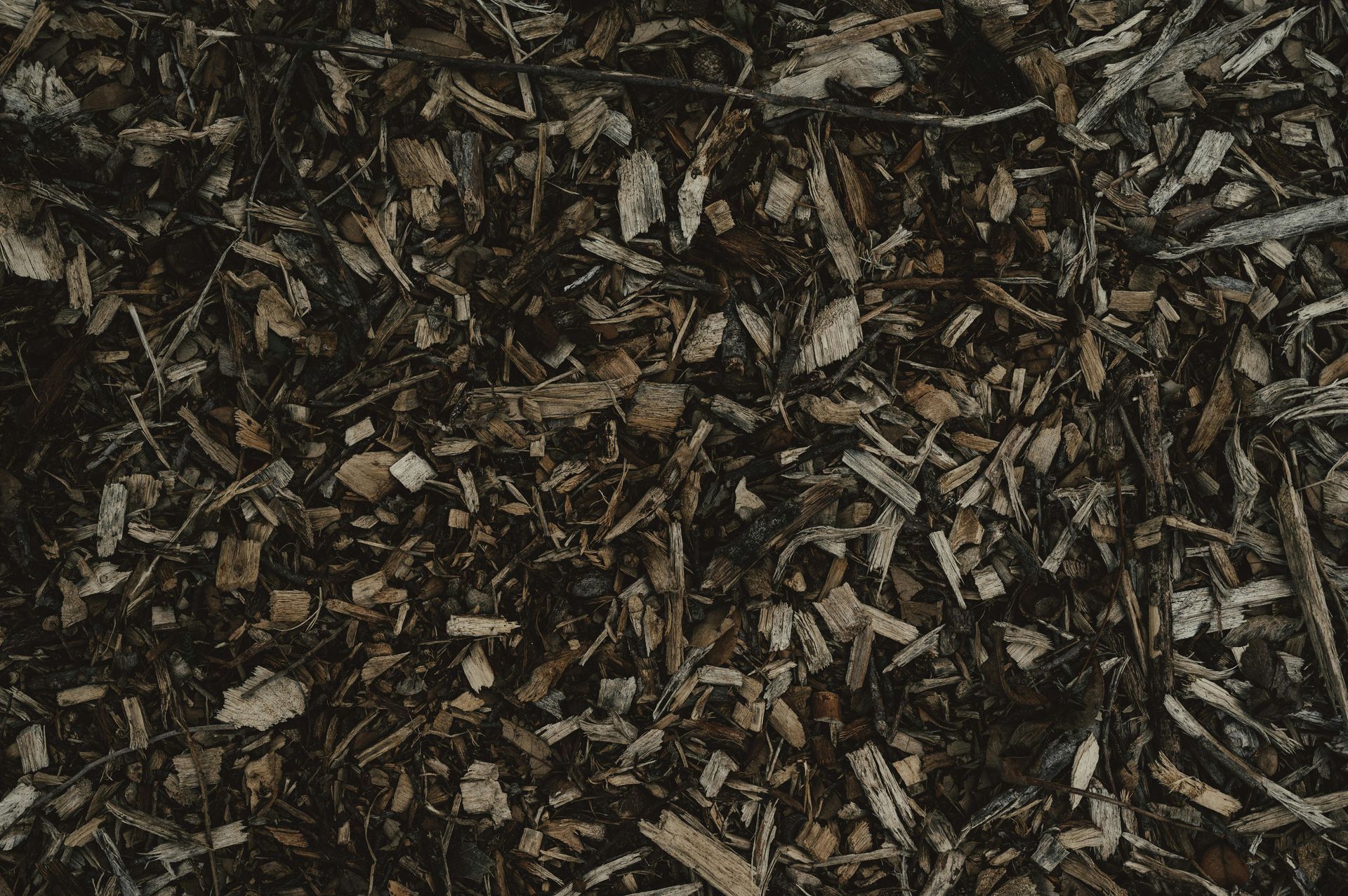 Close-up of dark brown mulch and wood chips on the ground.