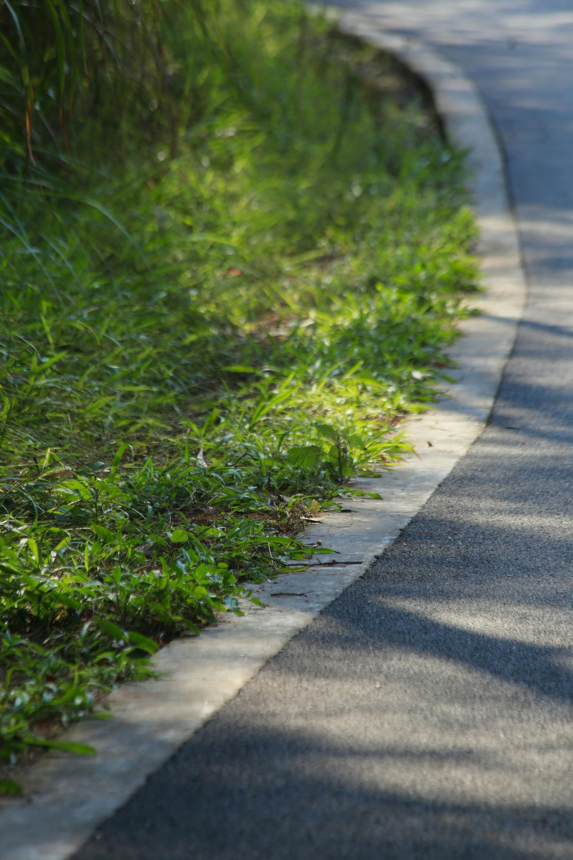 Curved paved path beside green grass, lit by sunlight and shadows