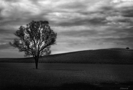 Mitrovich hand crafted photograph