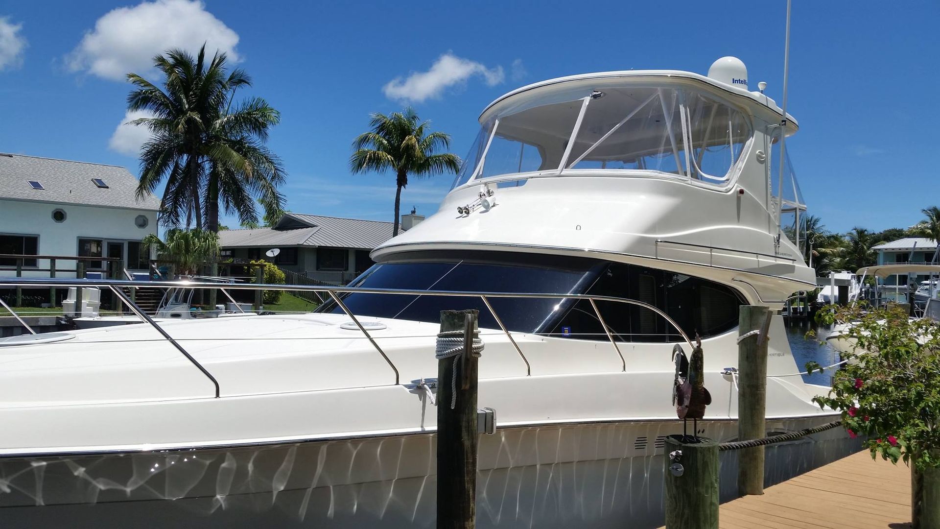A large white boat is docked at a dock with palm trees in the background