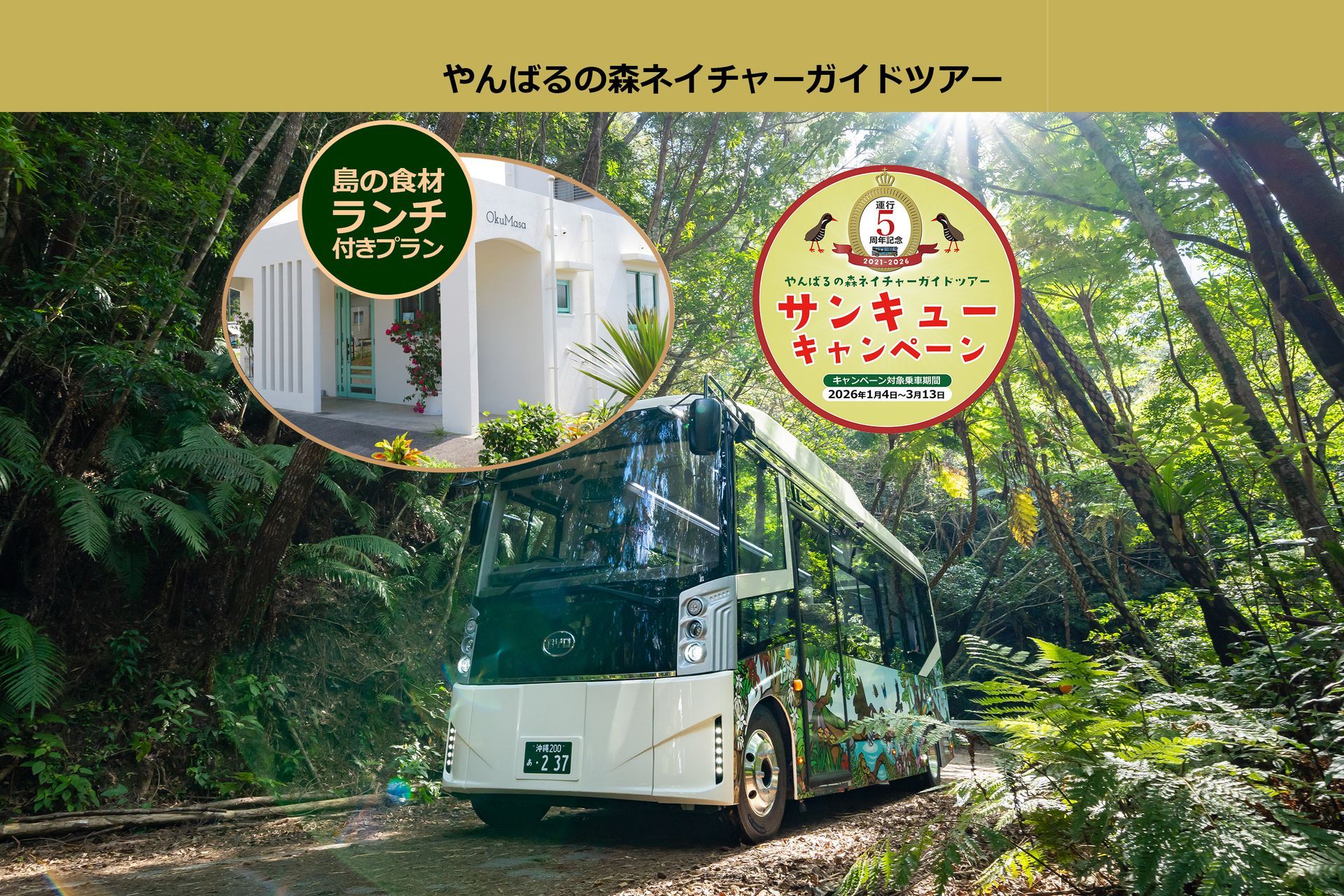 やんばるの森ネイチャーガイドツアー