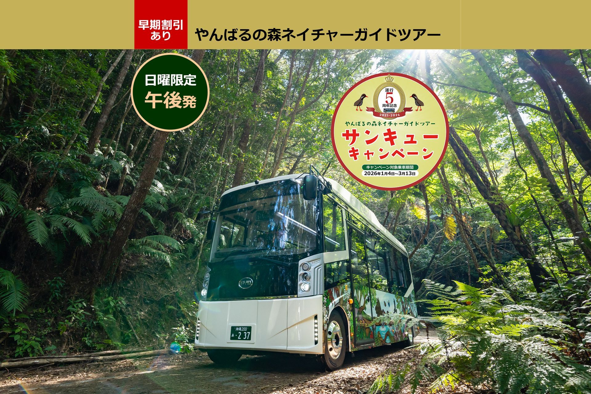 やんばるの森ネイチャーガイドツアー