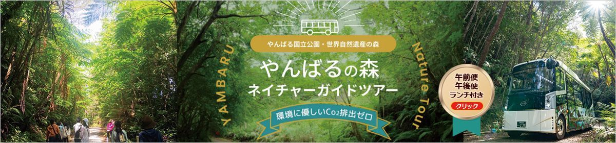 やんばるの森ネイチャーガイドツアー