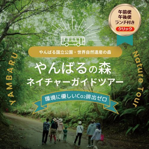 やんばるの森ネイチャーガイドツアー