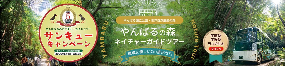やんばるの森ネイチャーガイドツアー