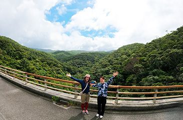 やんばるの森ネイチャーガイドツアー